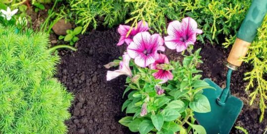 Landscaping Insurance Michigan