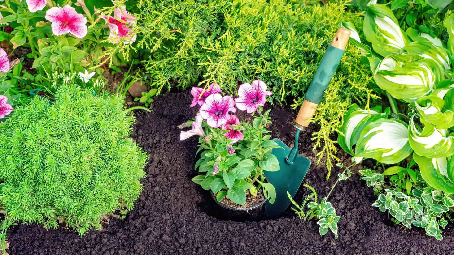 Landscaping Insurance Michigan